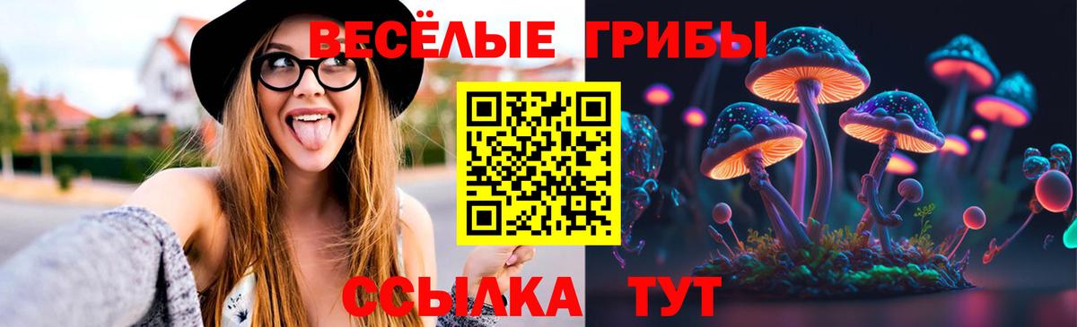 дарнет шоп  Псилоцибиновые грибы GOLDEN TEACHER  Вход с VPN  Алатырь 